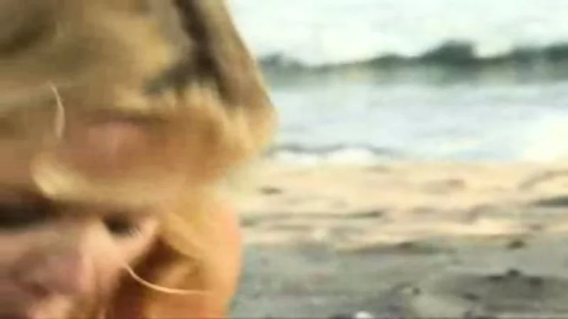 “与巴雷特·摩尔的海滩上的肛门肛门”